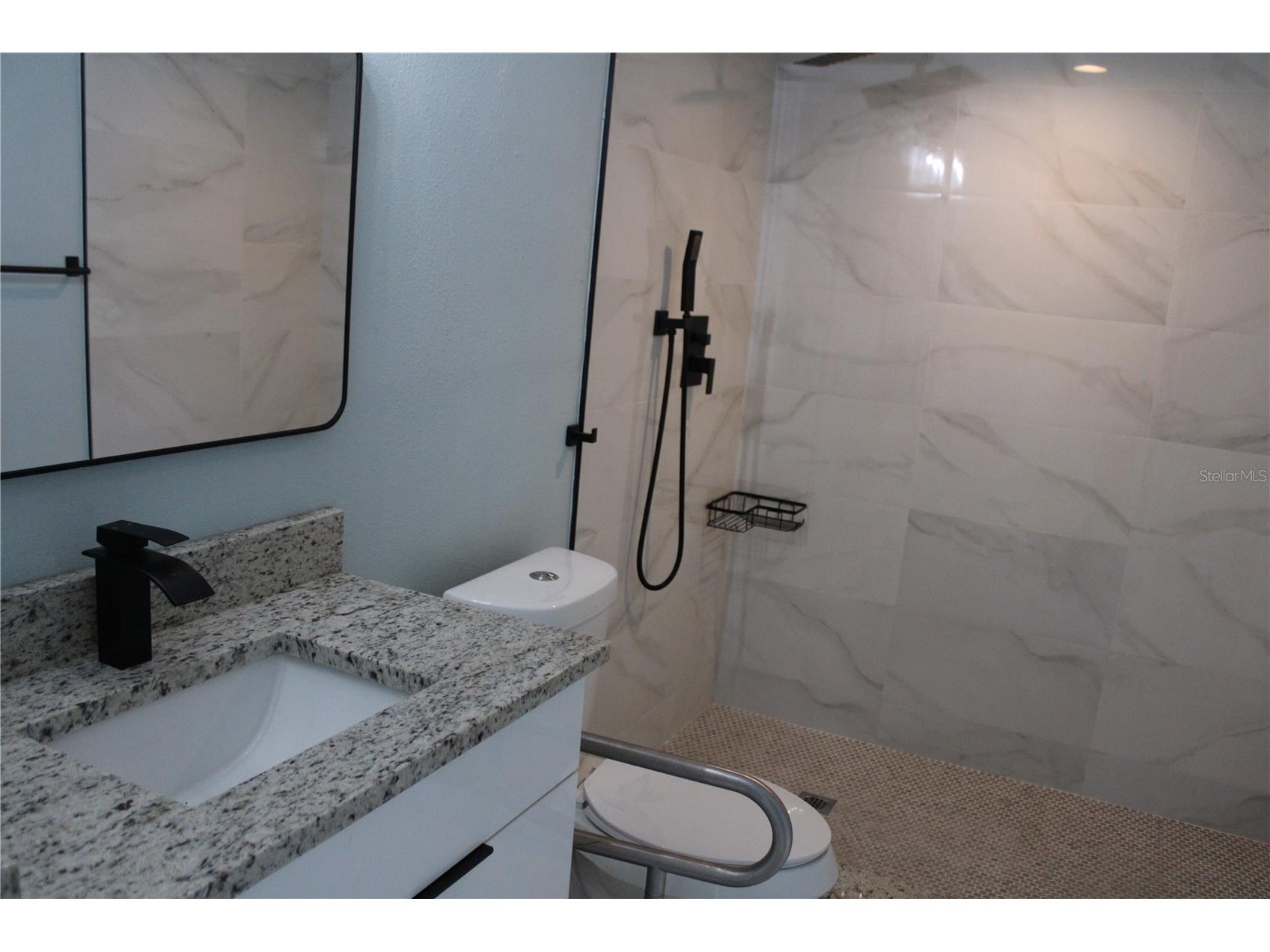 1106 E Dr Martin Luther King Jr Boulevard Plant City FL 33563 TB8494799 image14