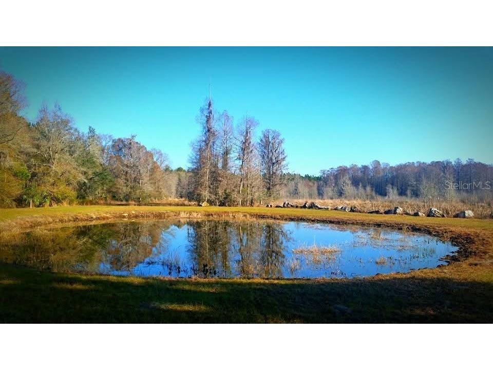 1106 Fox Hunter Rd Perry FL 32348 W7883828 image1