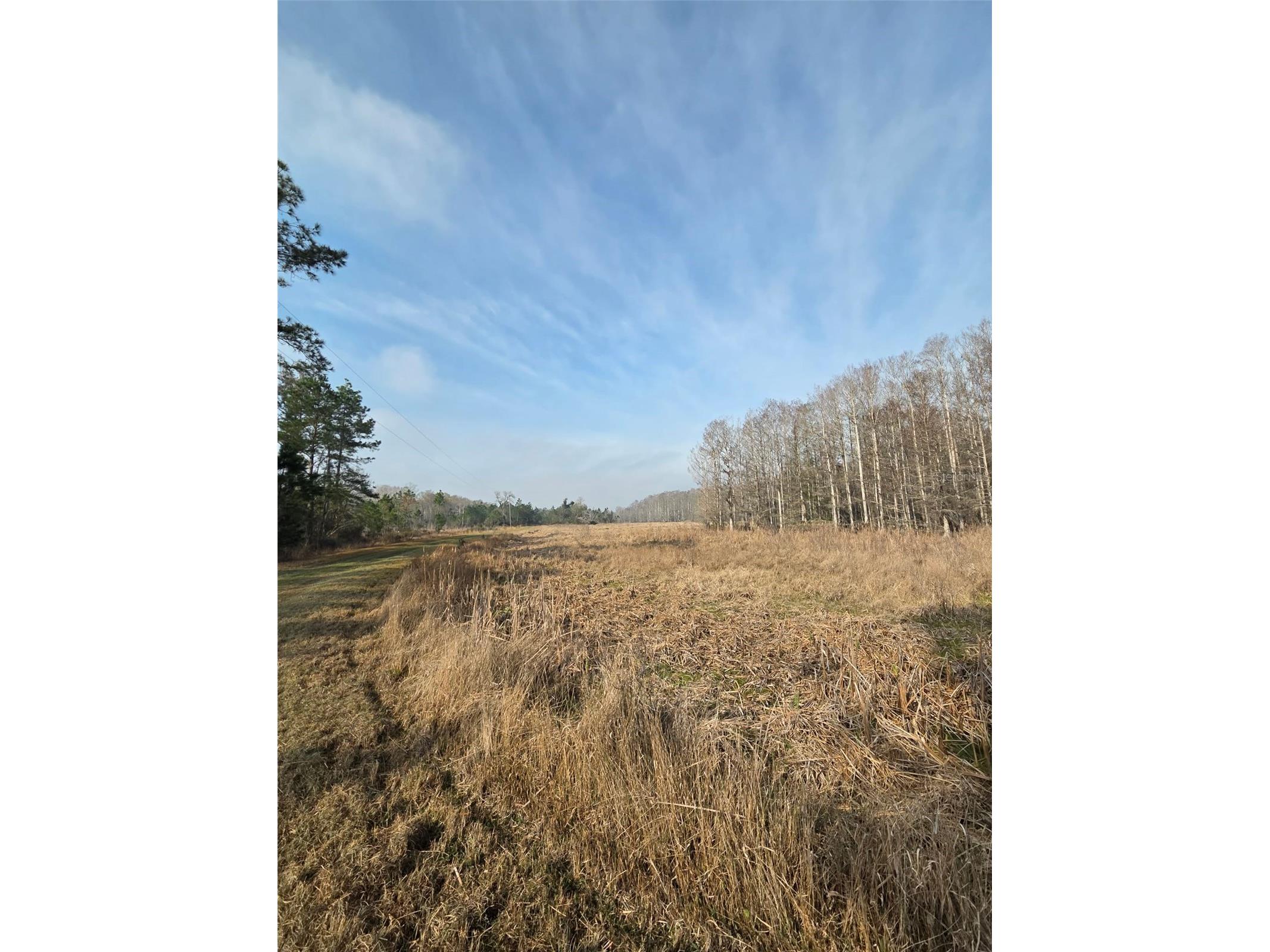 1106 Fox Hunter Rd Perry FL 32348 W7883828 image16