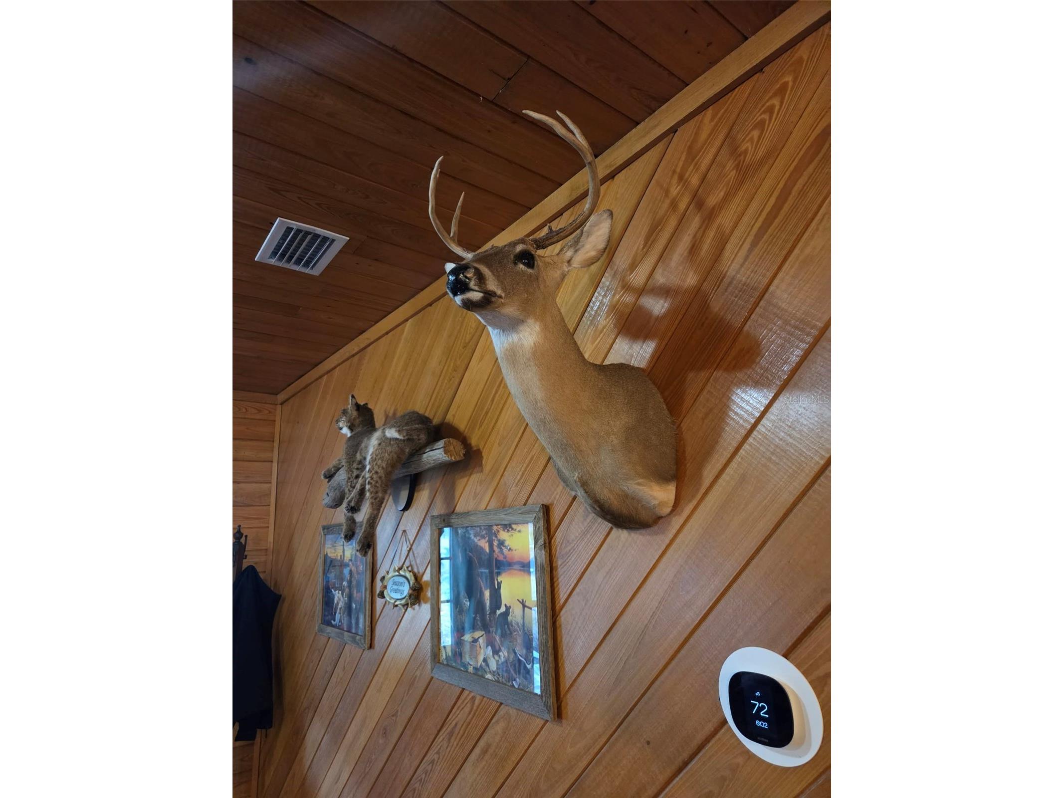 1106 Fox Hunter Rd Perry FL 32348 W7883828 image17