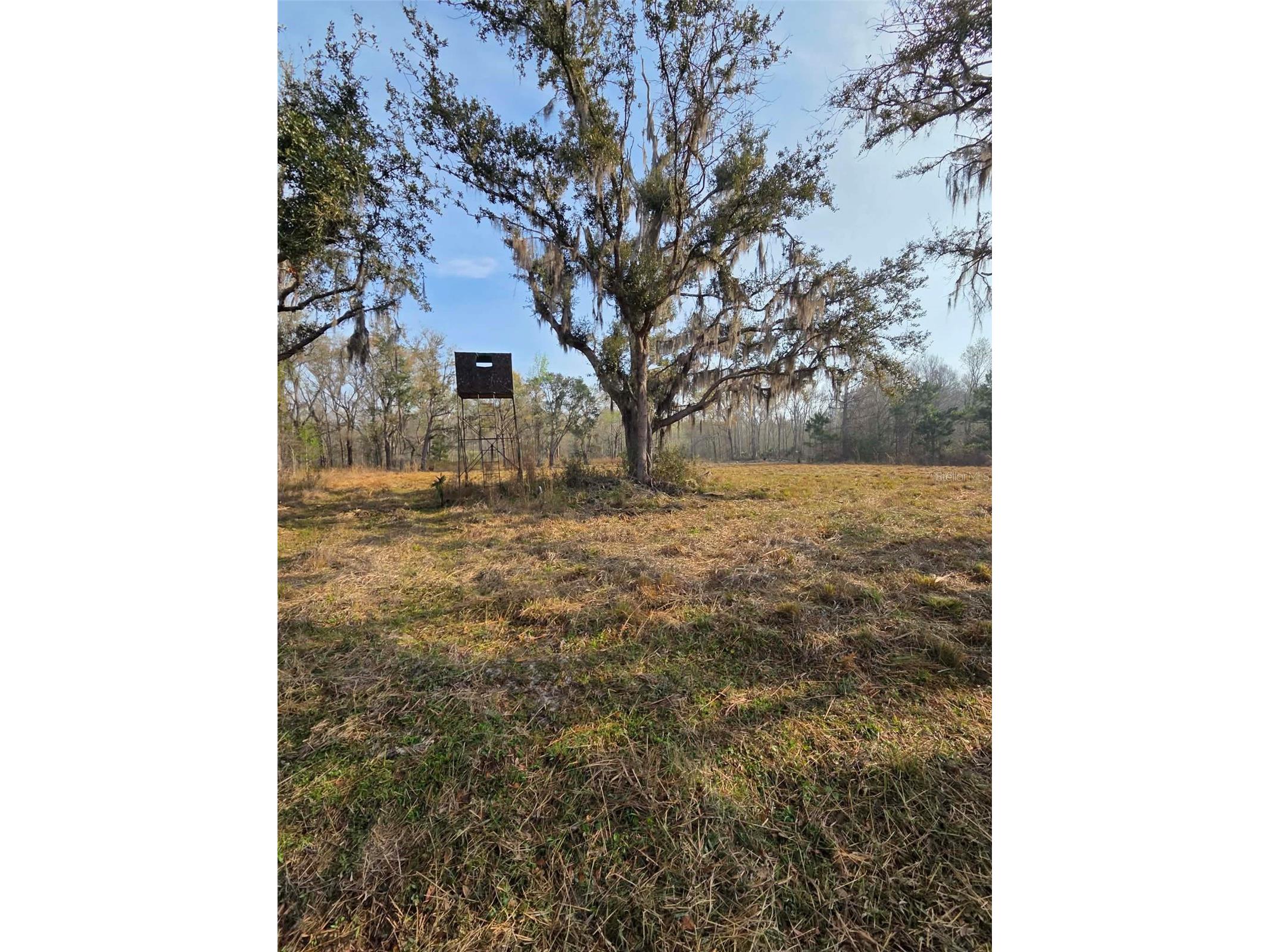 1106 Fox Hunter Rd Perry FL 32348 W7883828 image4