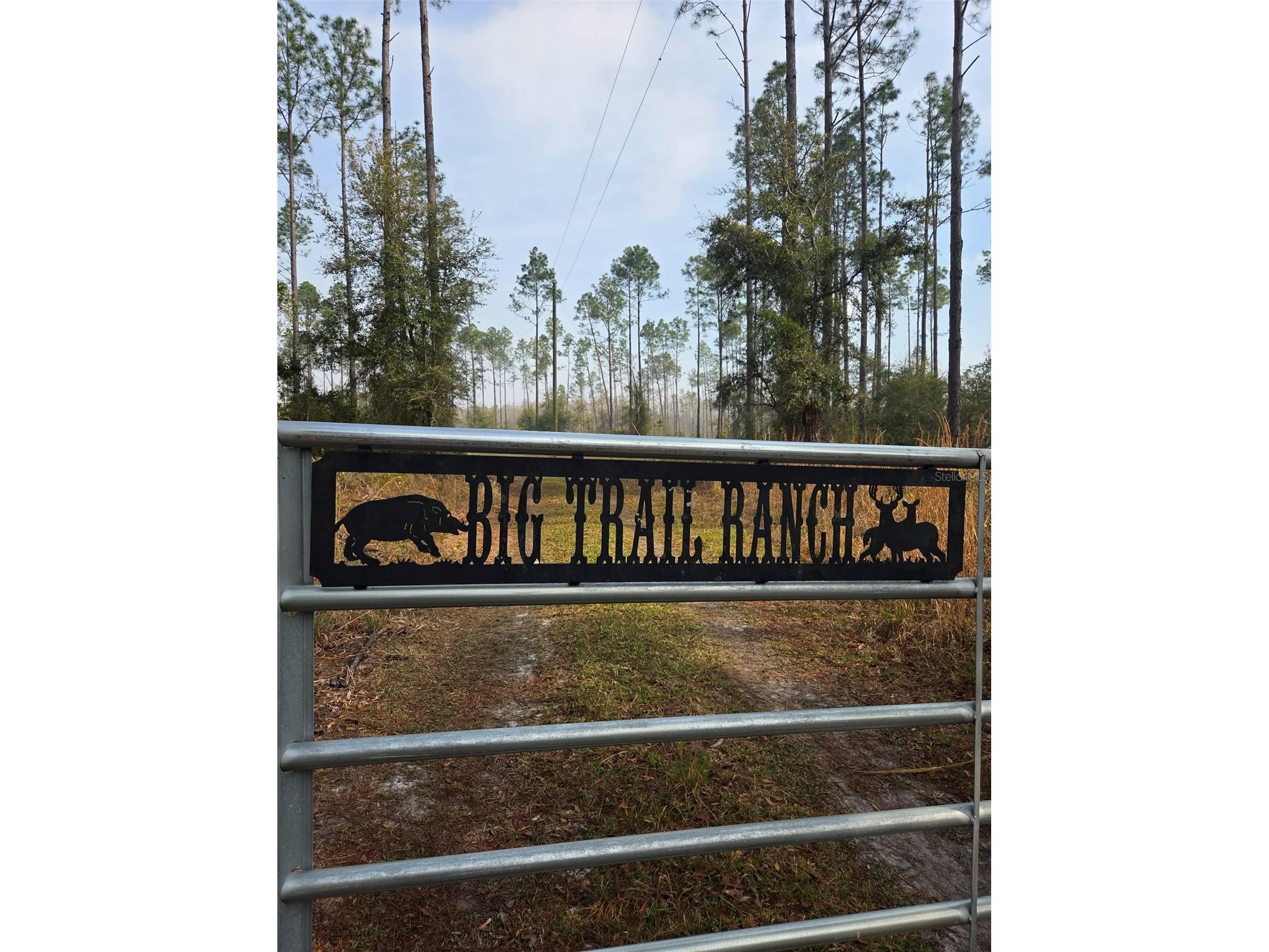 1106 Fox Hunter Rd Perry FL 32348 W7883828 image9