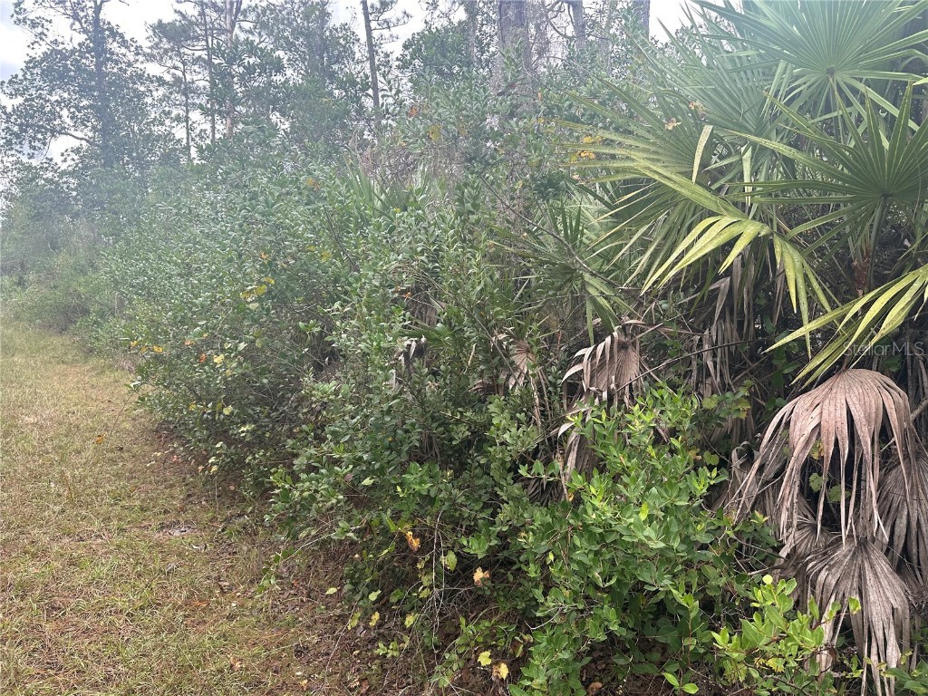 1106 Greenbriar Drive Christmas FL 32709 U8221829 image3