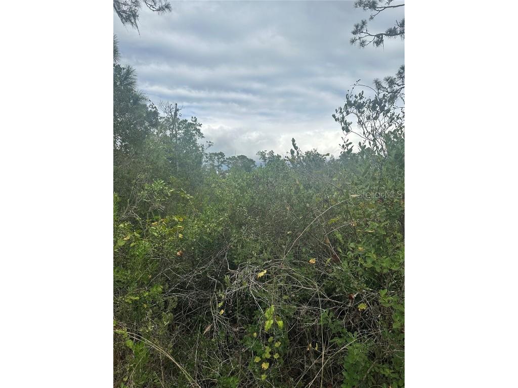 1106 Greenbriar Drive Christmas FL 32709 U8221829 image6