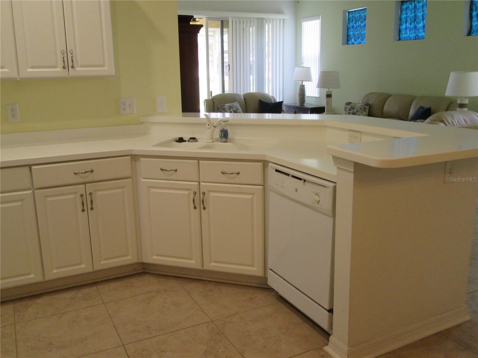 1106 Jameson Greens Drive Sun City Center FL 33573 TB8517025 image11