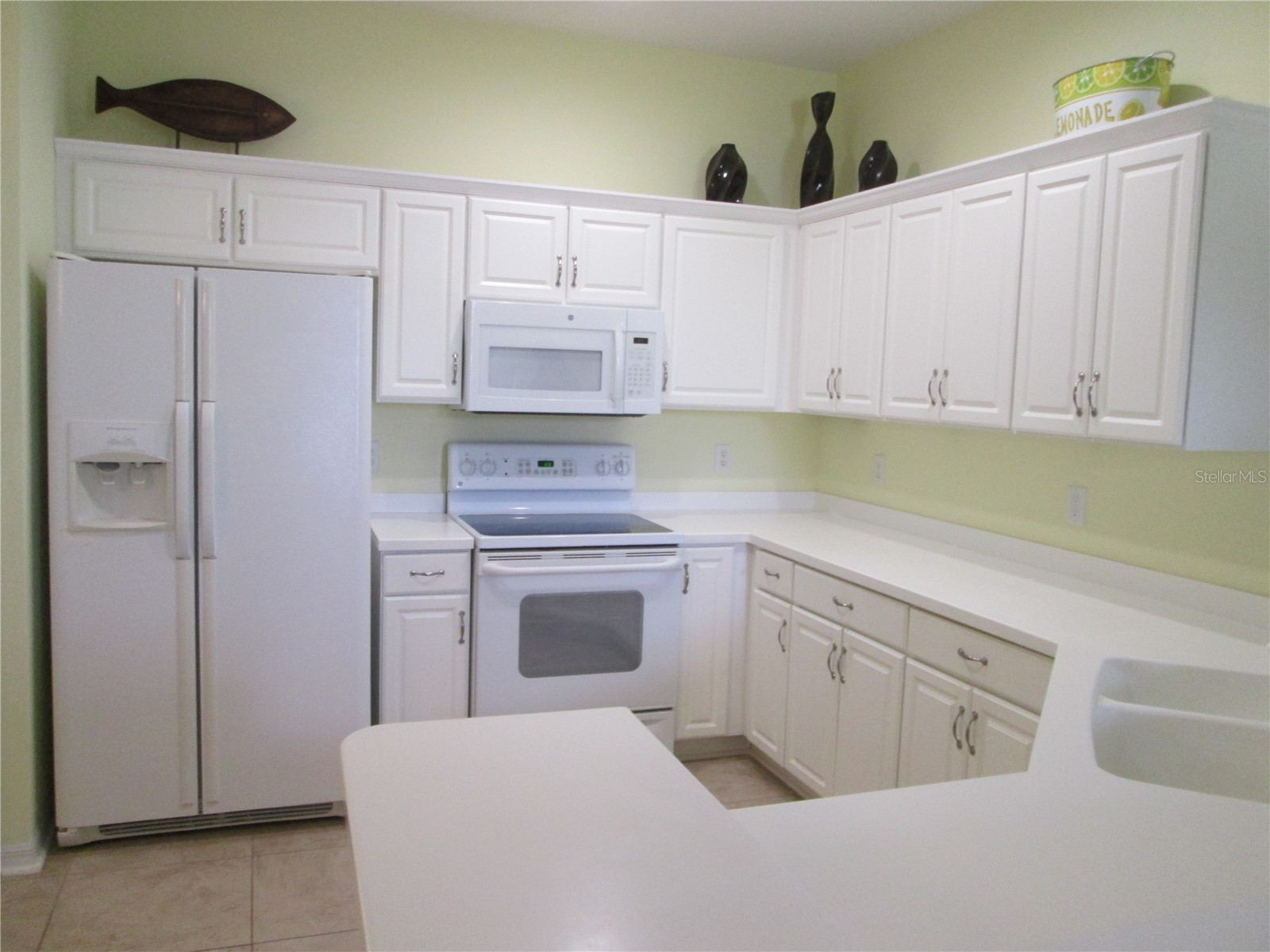 1106 Jameson Greens Drive Sun City Center FL 33573 TB8517025 image7