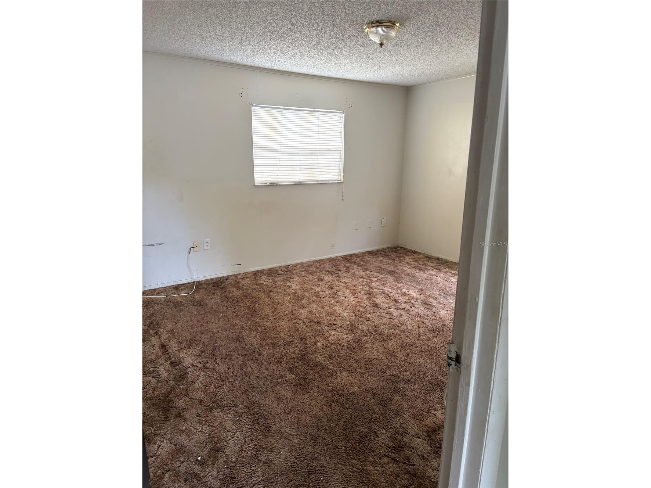 1106 Milner Drive W Lakeland FL 33810 P4938661 image12