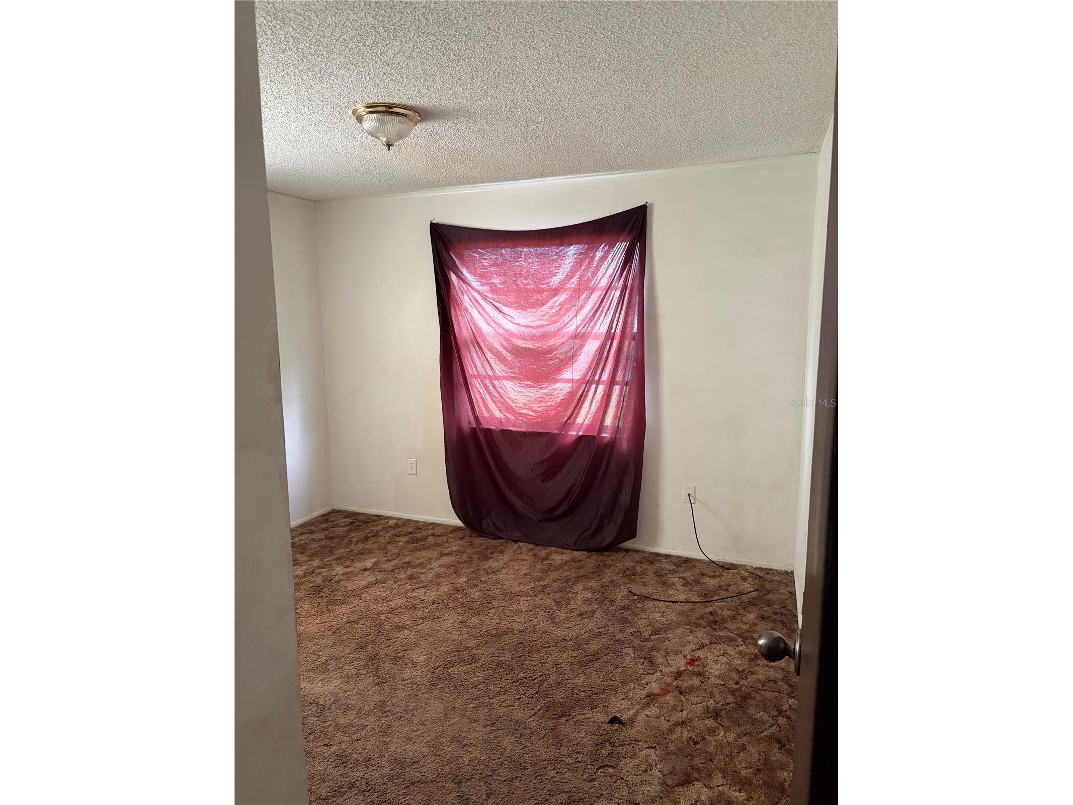 1106 Milner Drive W Lakeland FL 33810 P4938661 image18