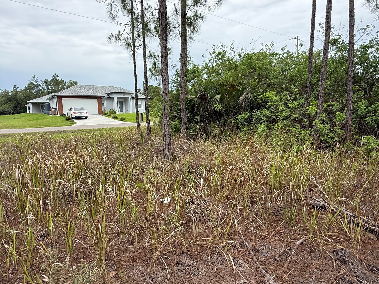 1106 W 13th Street Lehigh Acres FL 33972 OM725433 image3
