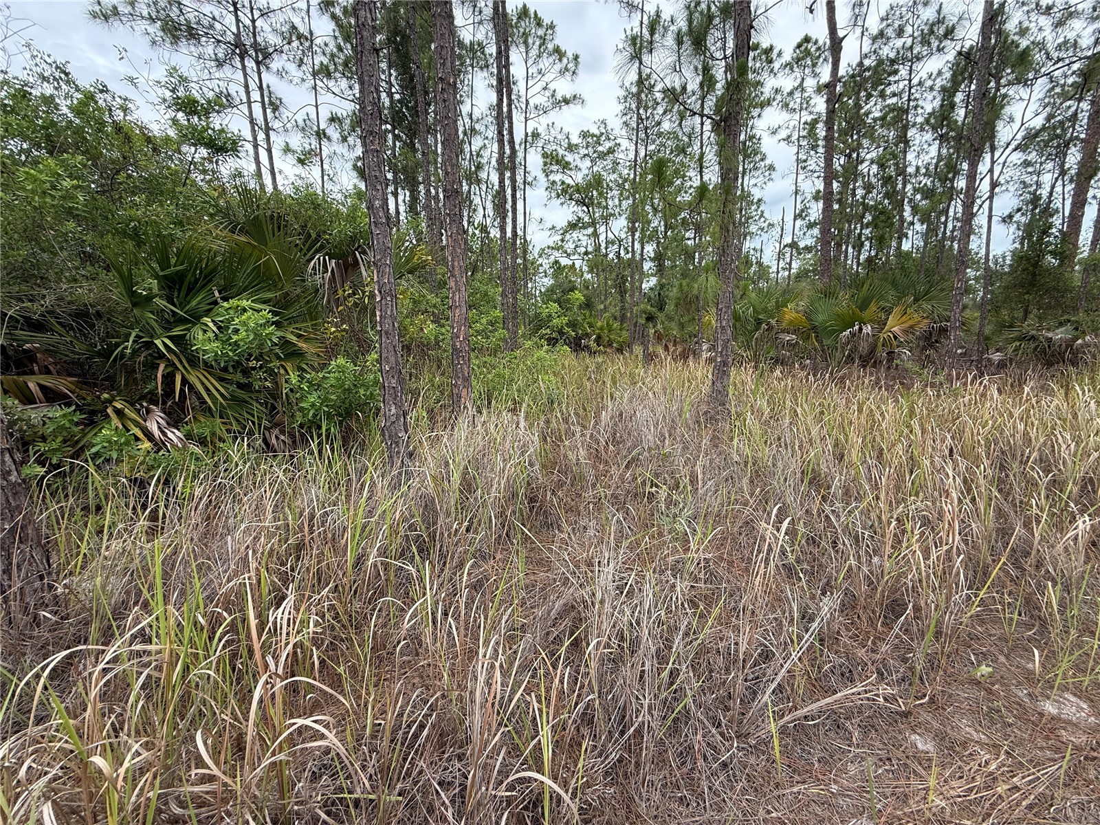 1106 W 13th Street Lehigh Acres FL 33972 OM725433 image4