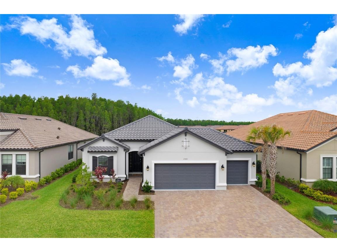 11061 Egeria Drive Odessa FL 33556 T3450035 image1