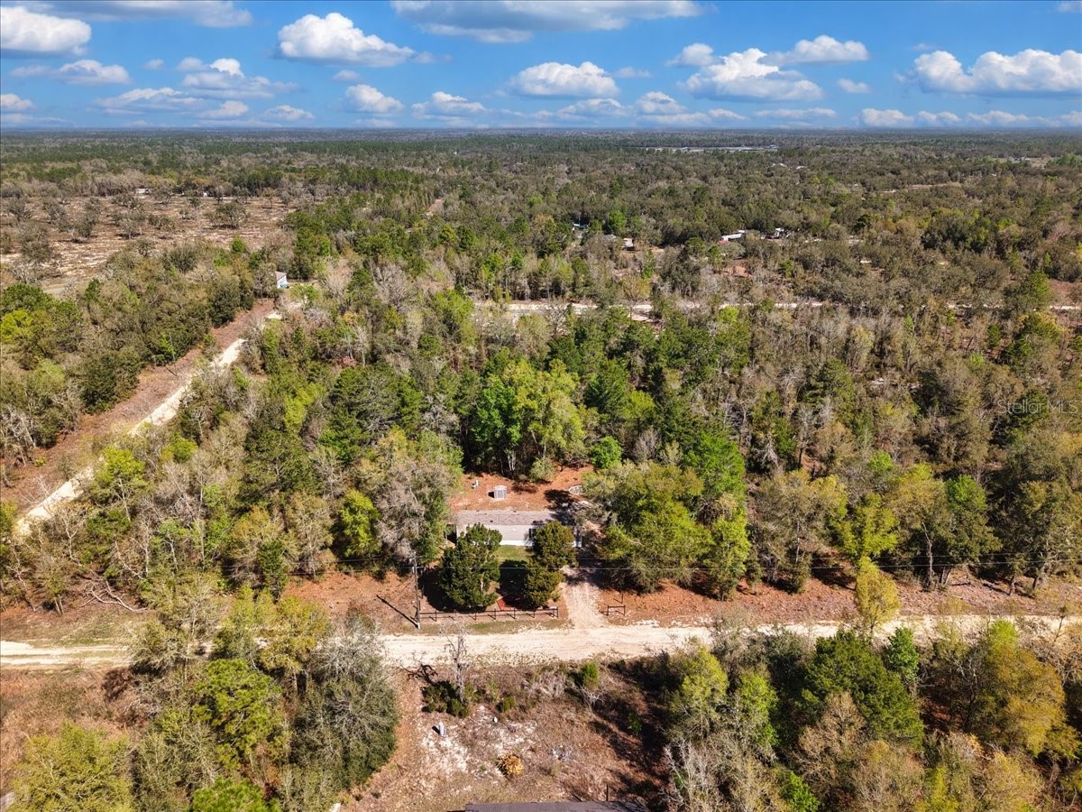 11061 NE 65th Lane Williston FL 32696 GC538035 image28