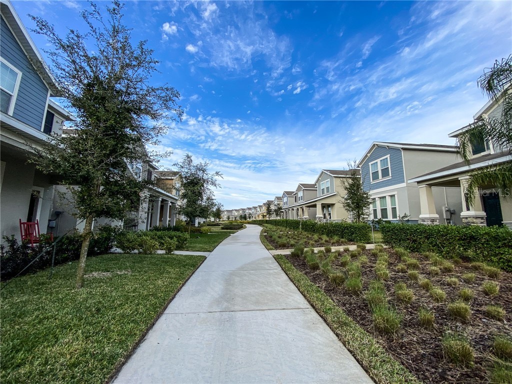 11061 Vignette Alley Winter Garden FL 34787 O6408019 image26