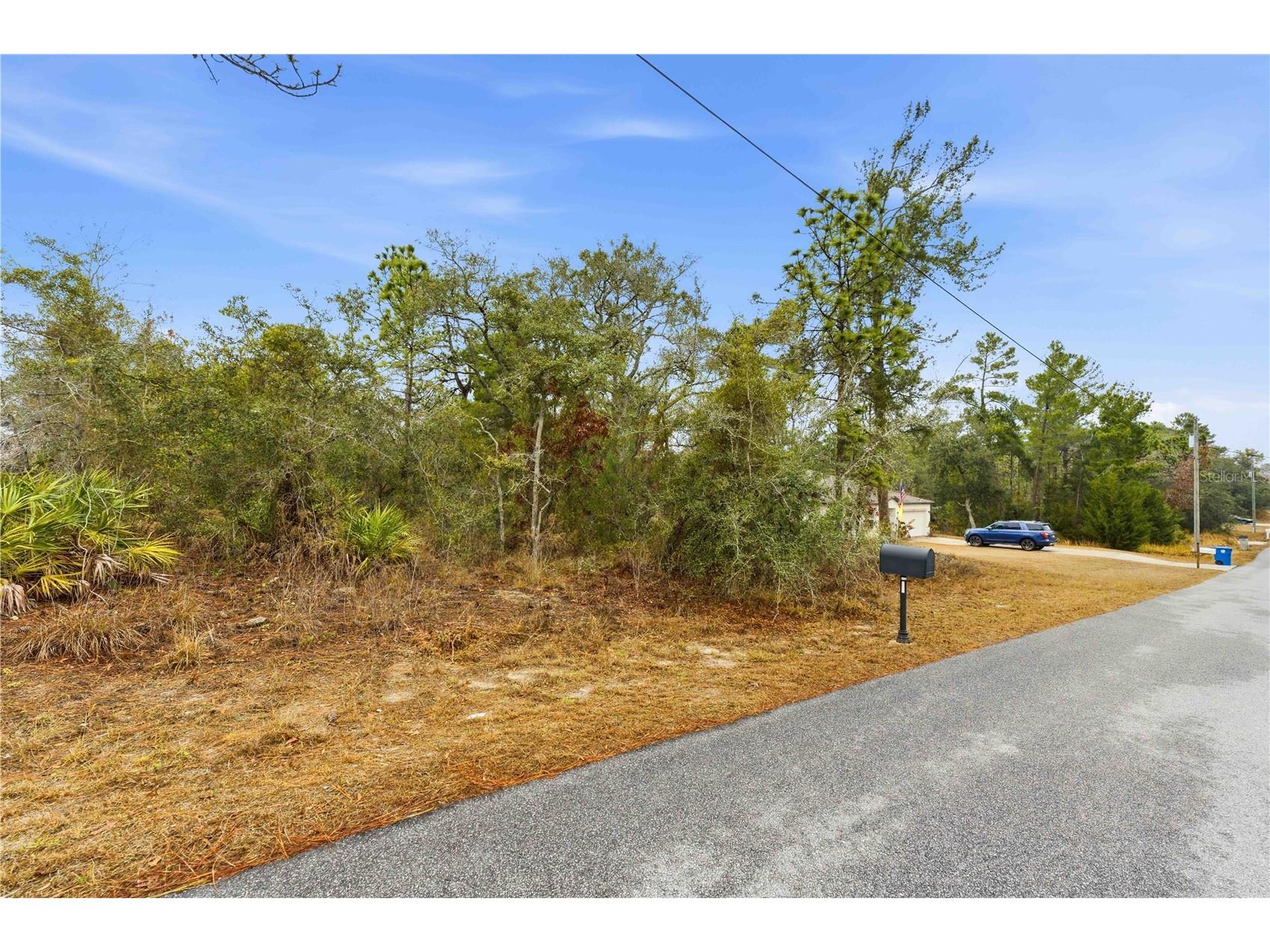 11063 Liberto Road Weeki Wachee FL 34614 TB8474307 image1