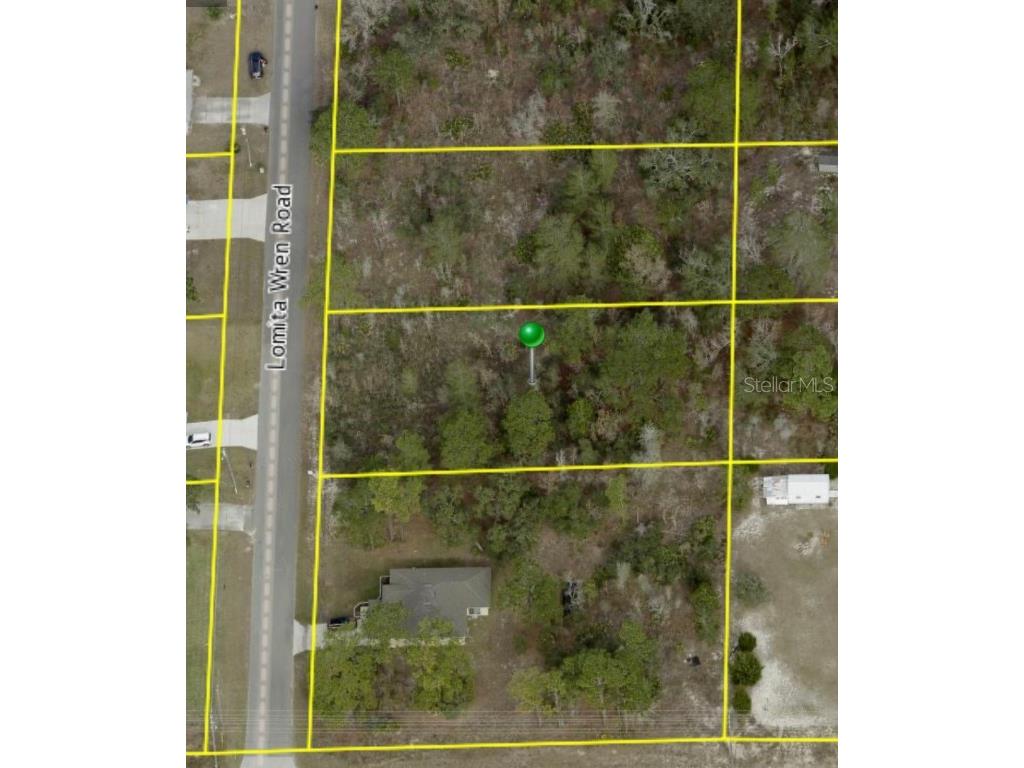 11064 Lomita Wren Road Weeki Wachee FL 34614 U8205668 image1