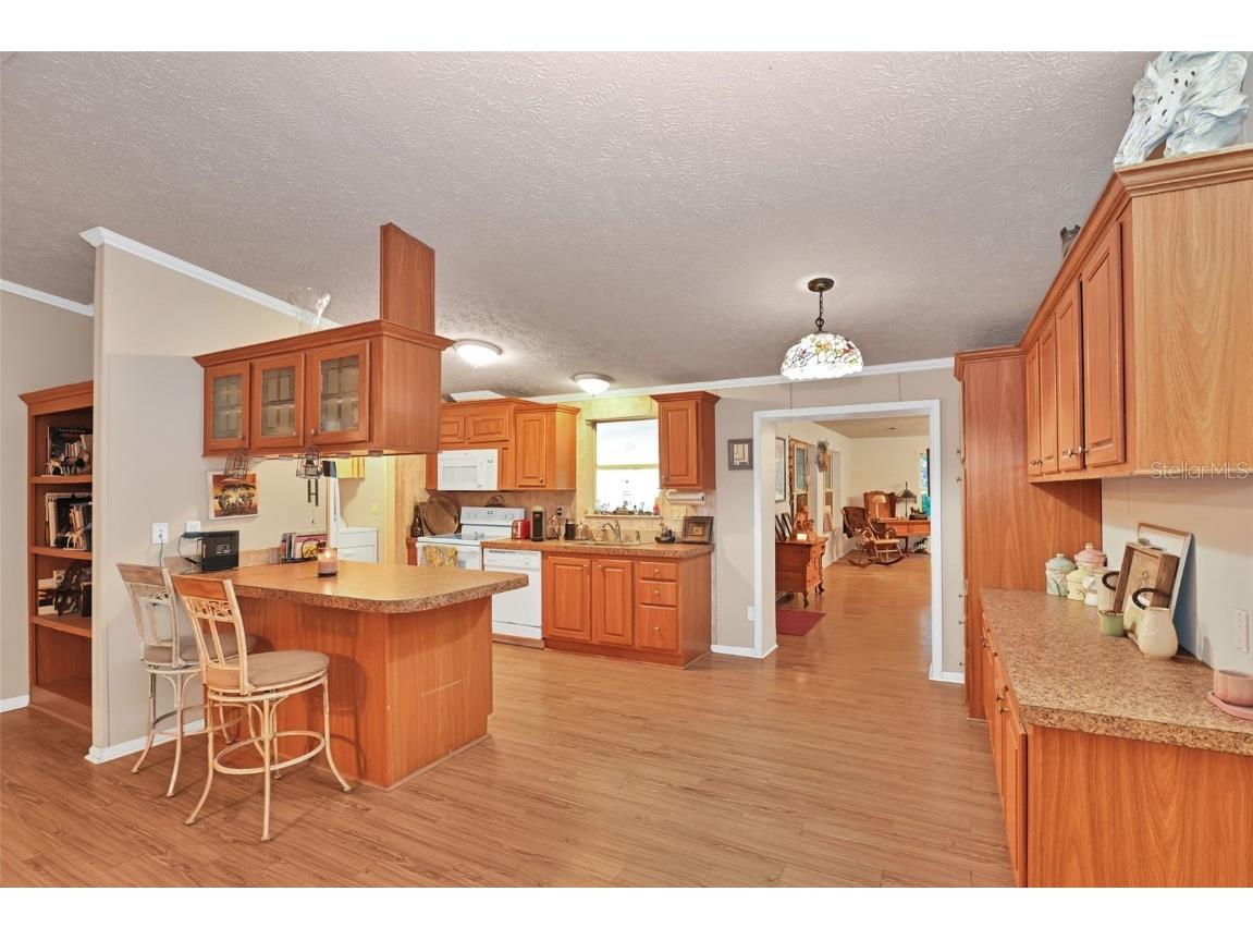 11064 NE 212th Lane Fort Mc Coy FL 32134 OM714184 image17