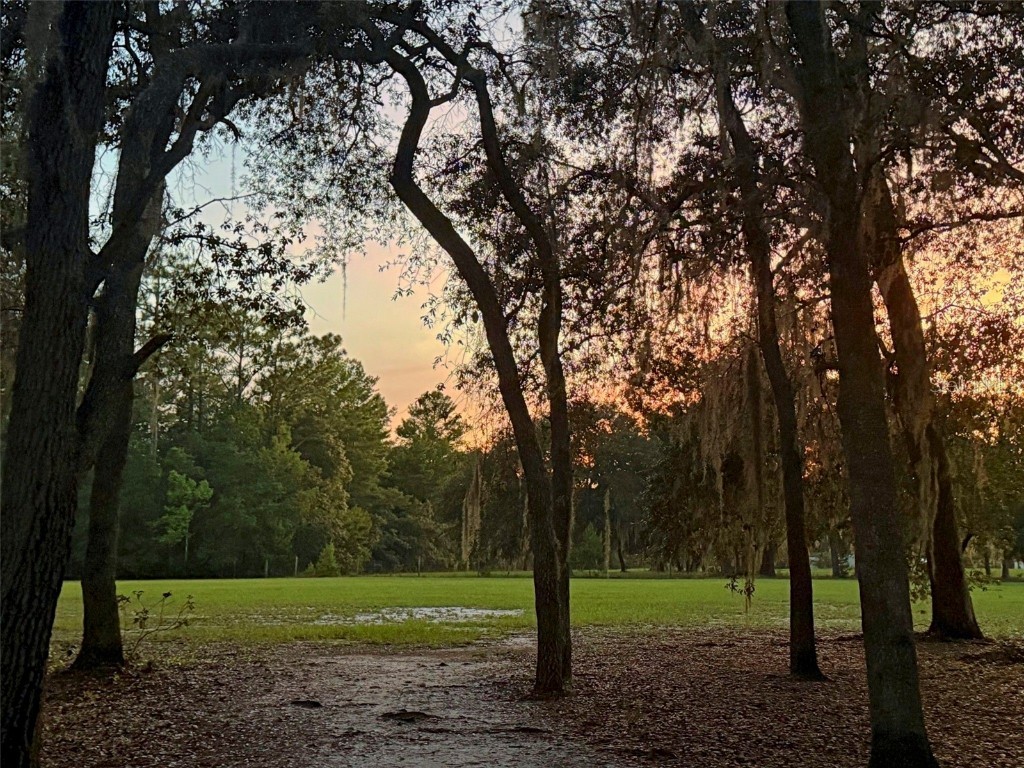 11064 NE 212th Lane Fort Mc Coy FL 32134 OM714184 image28