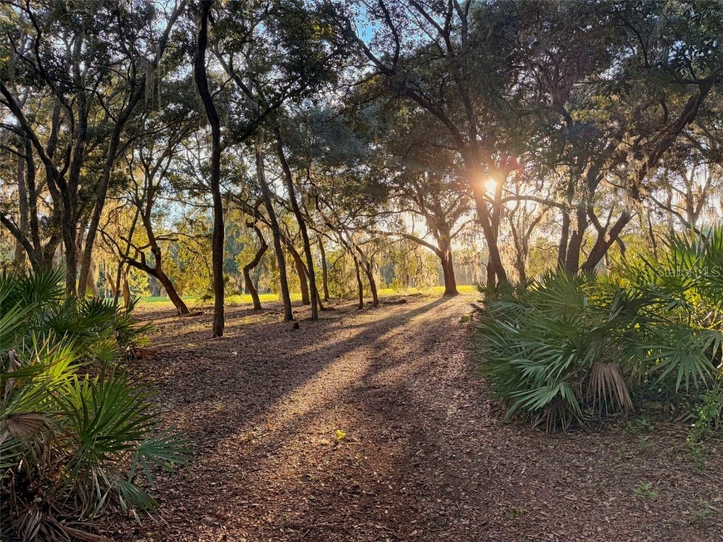 11064 NE 212th Lane Fort Mc Coy FL 32134 OM714184 image3