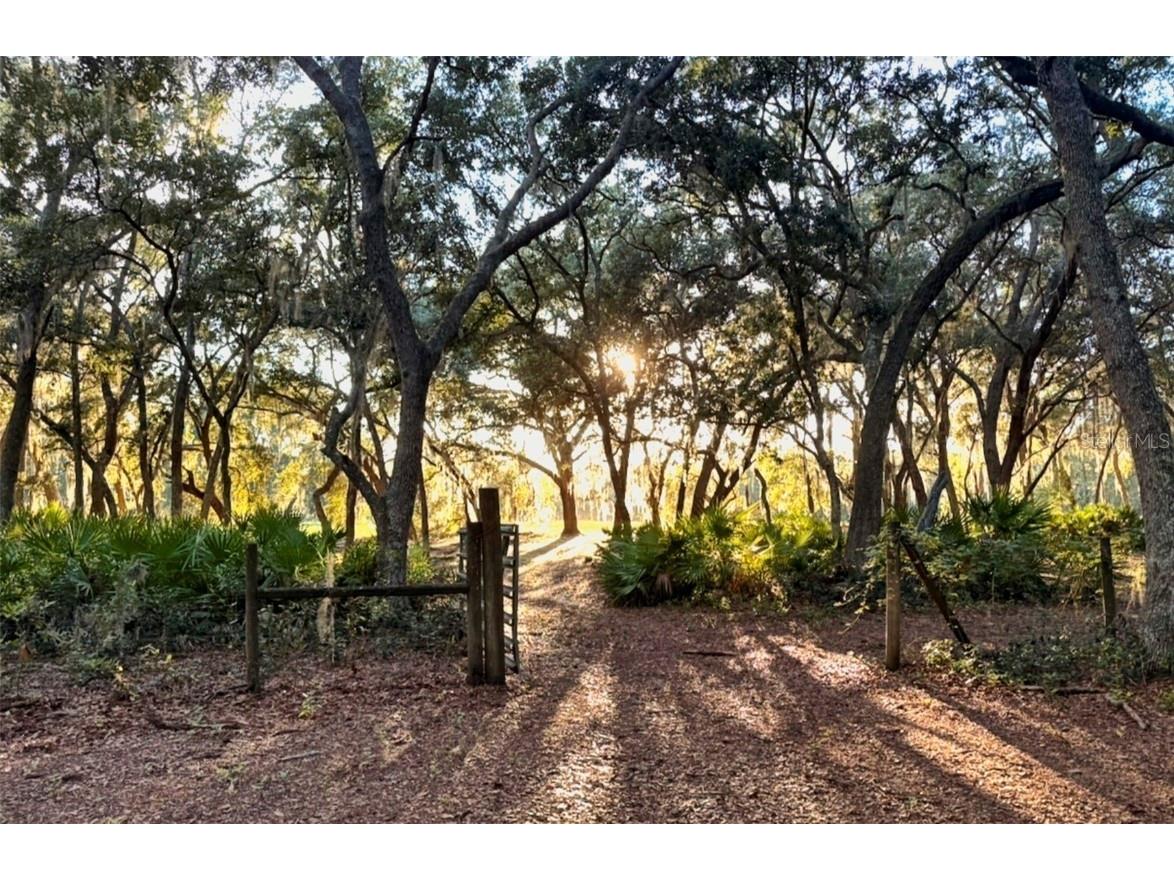 11064 NE 212th Lane Fort Mc Coy FL 32134 OM714184 image48