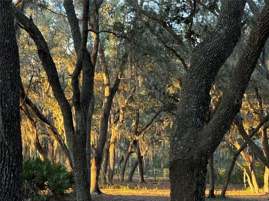 11064 NE 212th Lane Fort Mc Coy FL 32134 OM714184 image51