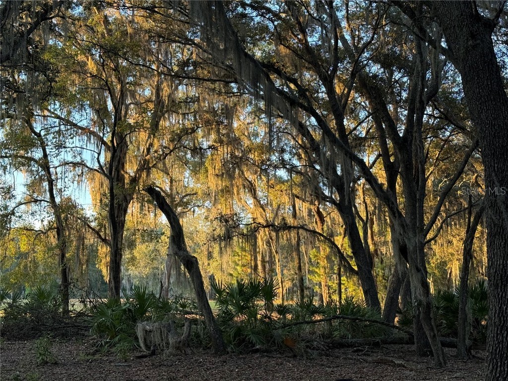 11064 NE 212th Lane Fort Mc Coy FL 32134 OM714184 image52