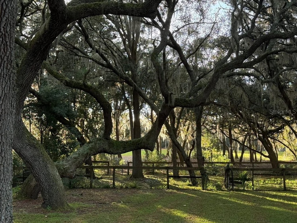 11064 NE 212th Lane Fort Mc Coy FL 32134 OM714184 image53