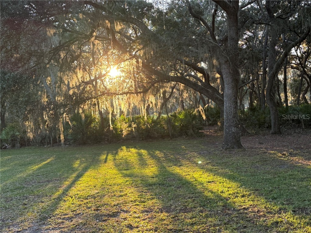 11064 NE 212th Lane Fort Mc Coy FL 32134 OM714184 image54