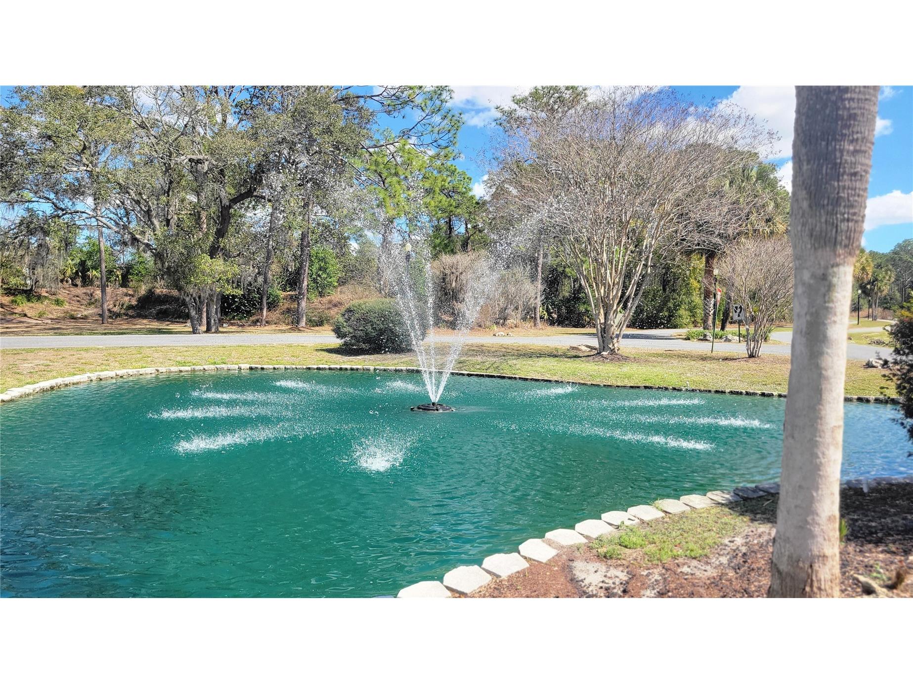 11064 SW 78th Court Ocala FL 34476 OM719610 image14