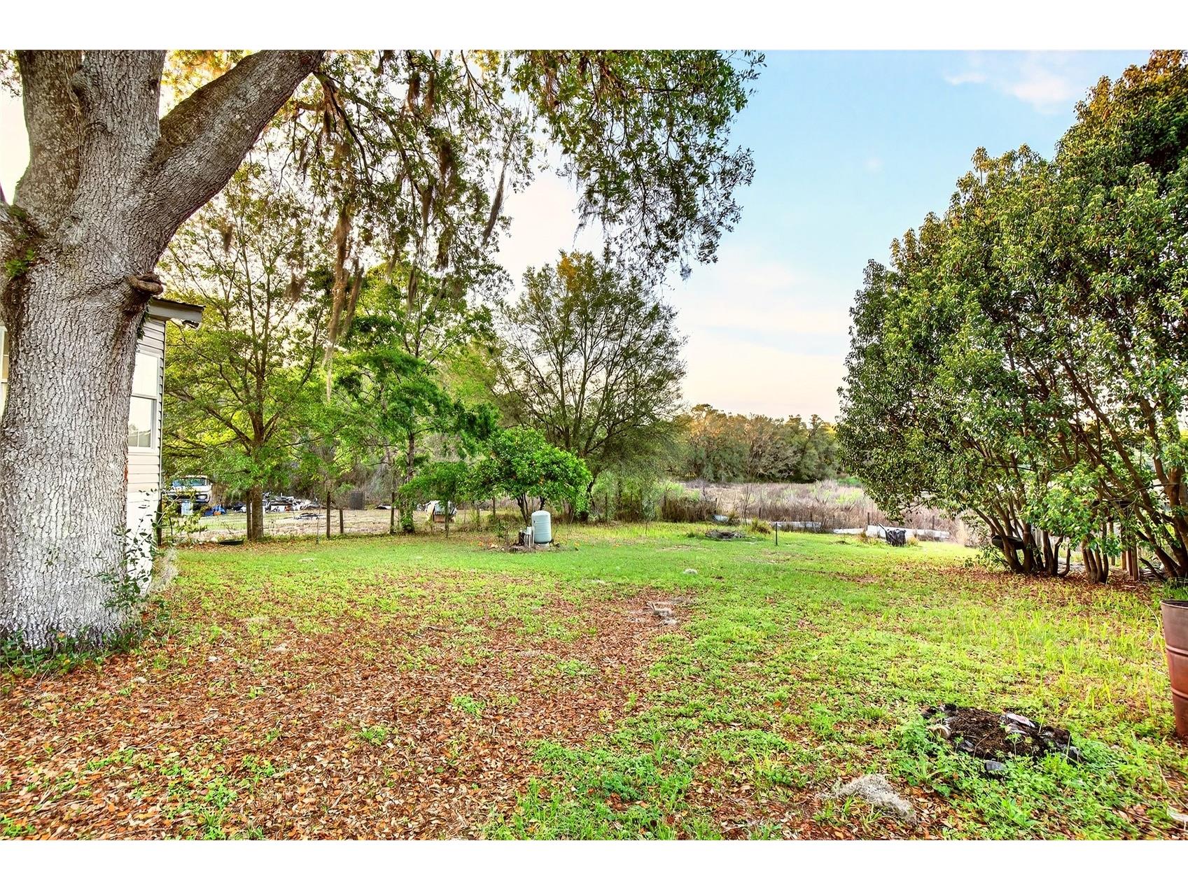 11065 NE 145th Lane Fort Mc Coy FL 32134 OM721259 image33