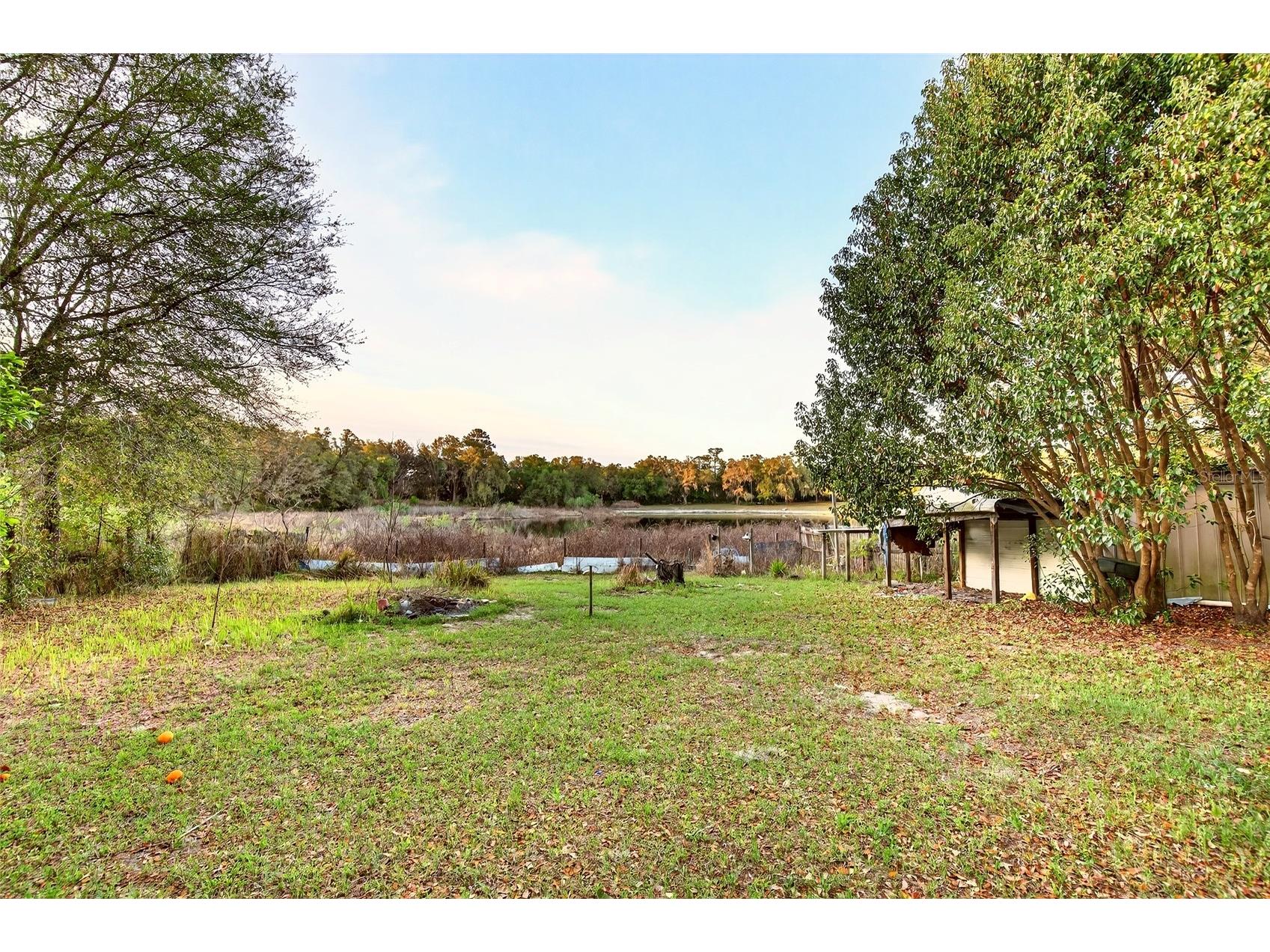 11065 NE 145th Lane Fort Mc Coy FL 32134 OM721259 image34