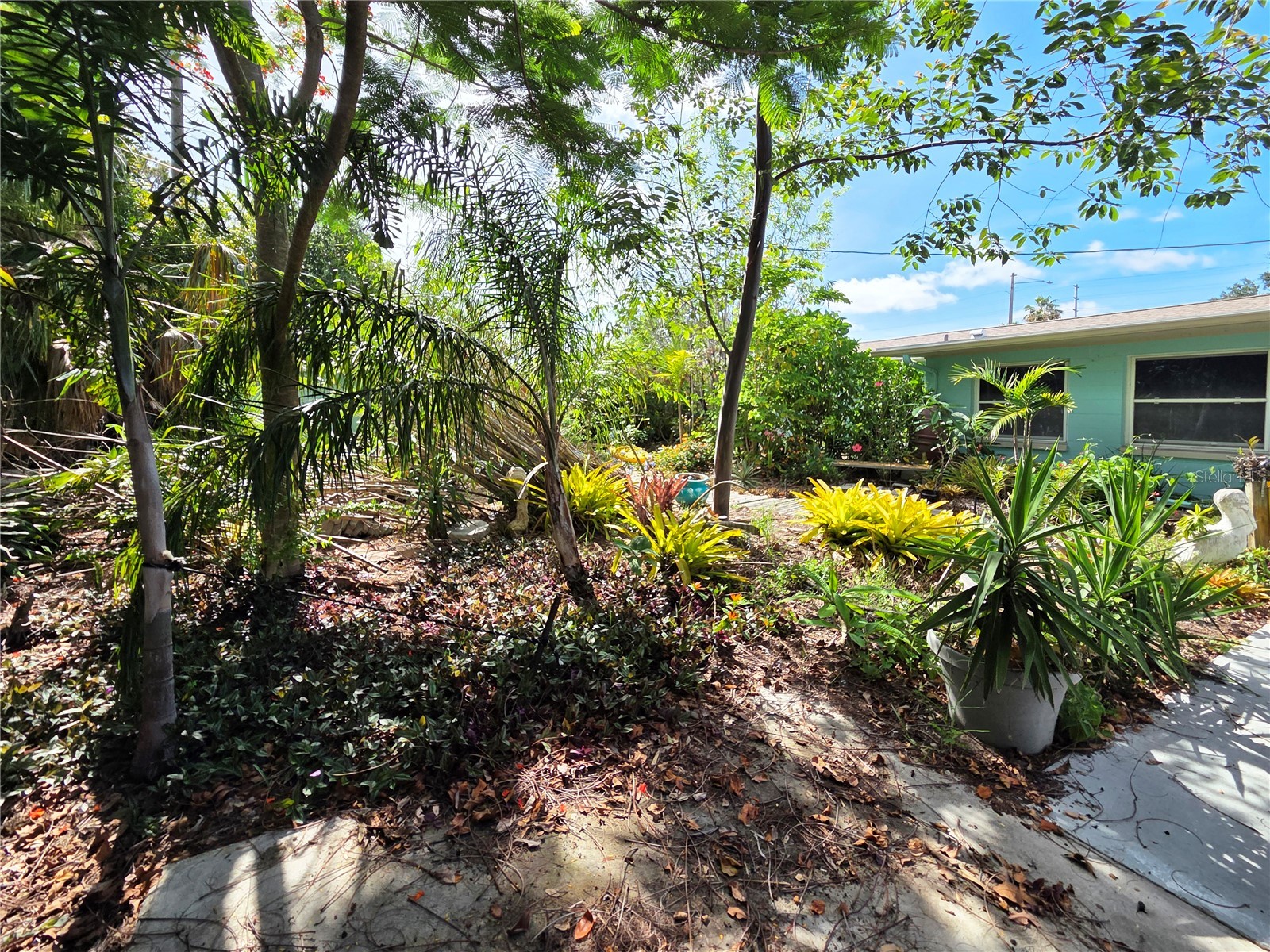 11066 102nd Avenue N Seminole FL 33778 TB8514558 image25