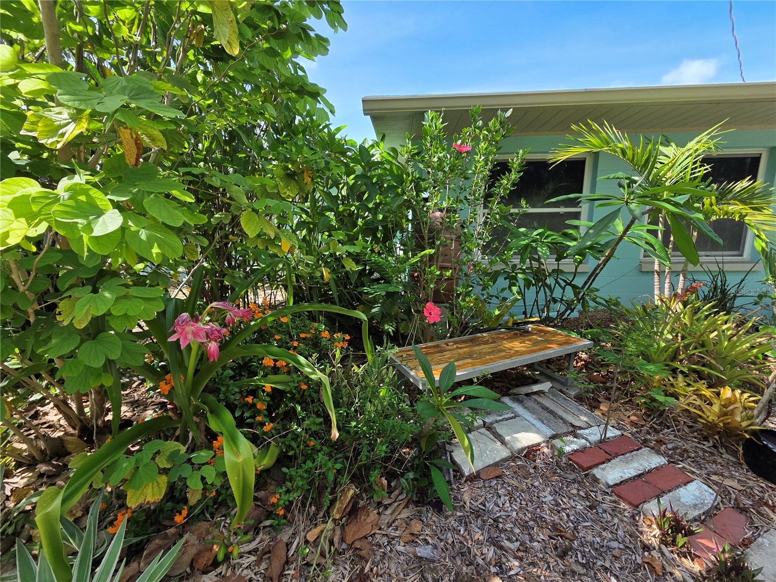 11066 102nd Avenue N Seminole FL 33778 TB8514558 image28