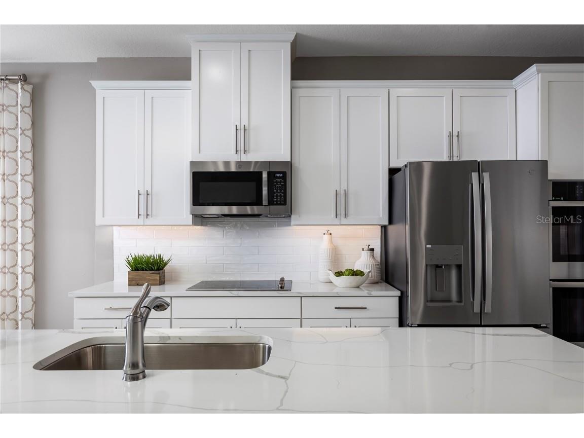 11066 Nellie Crossing Circle Clermont FL 34711 W7880065 image4