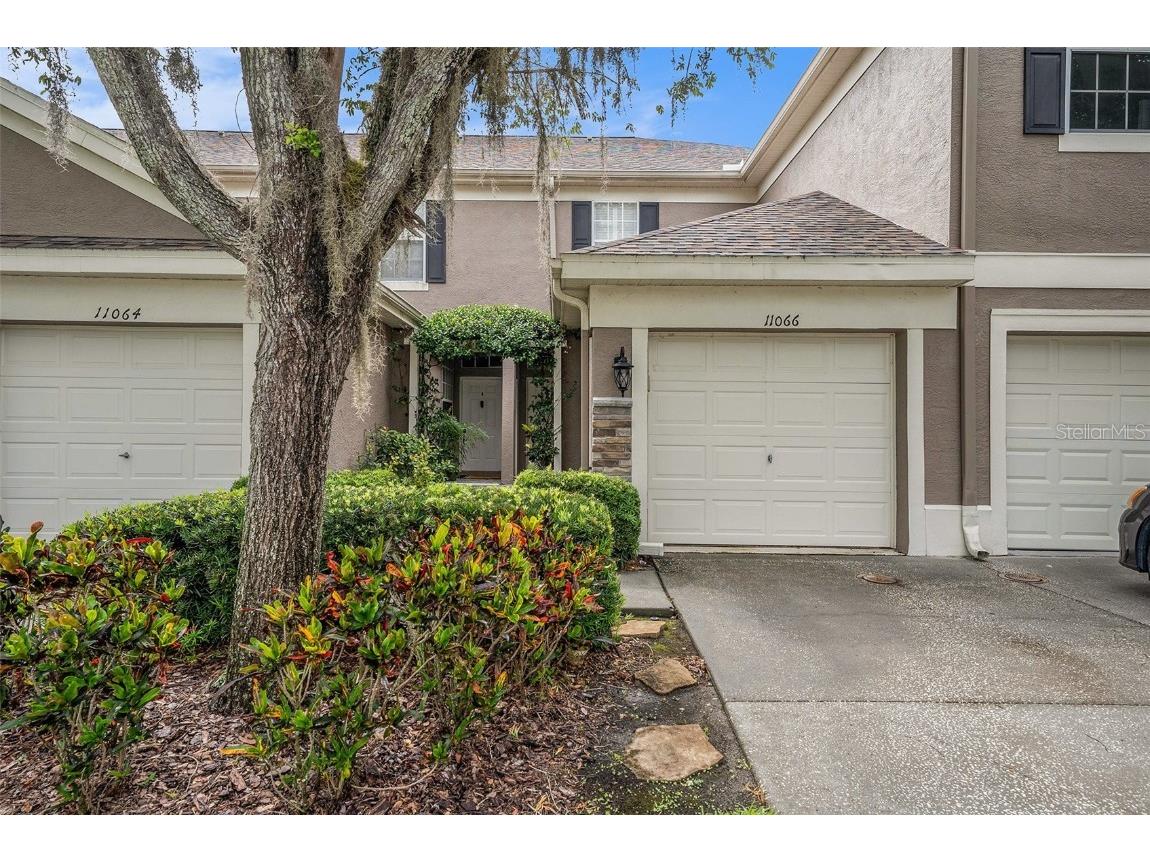 11066 Windsor Place Circle Tampa FL 33626 TB8404649 image1