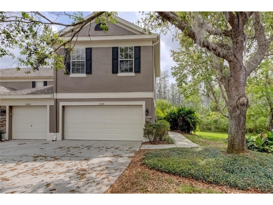 11068 Windsor Place Circle Tampa FL 33626 T3433833 image1