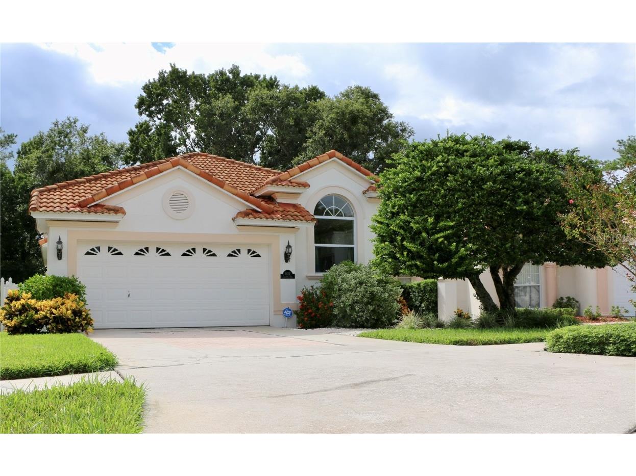 1107 Callista Avenue Valrico FL 33596 T3488627 image1