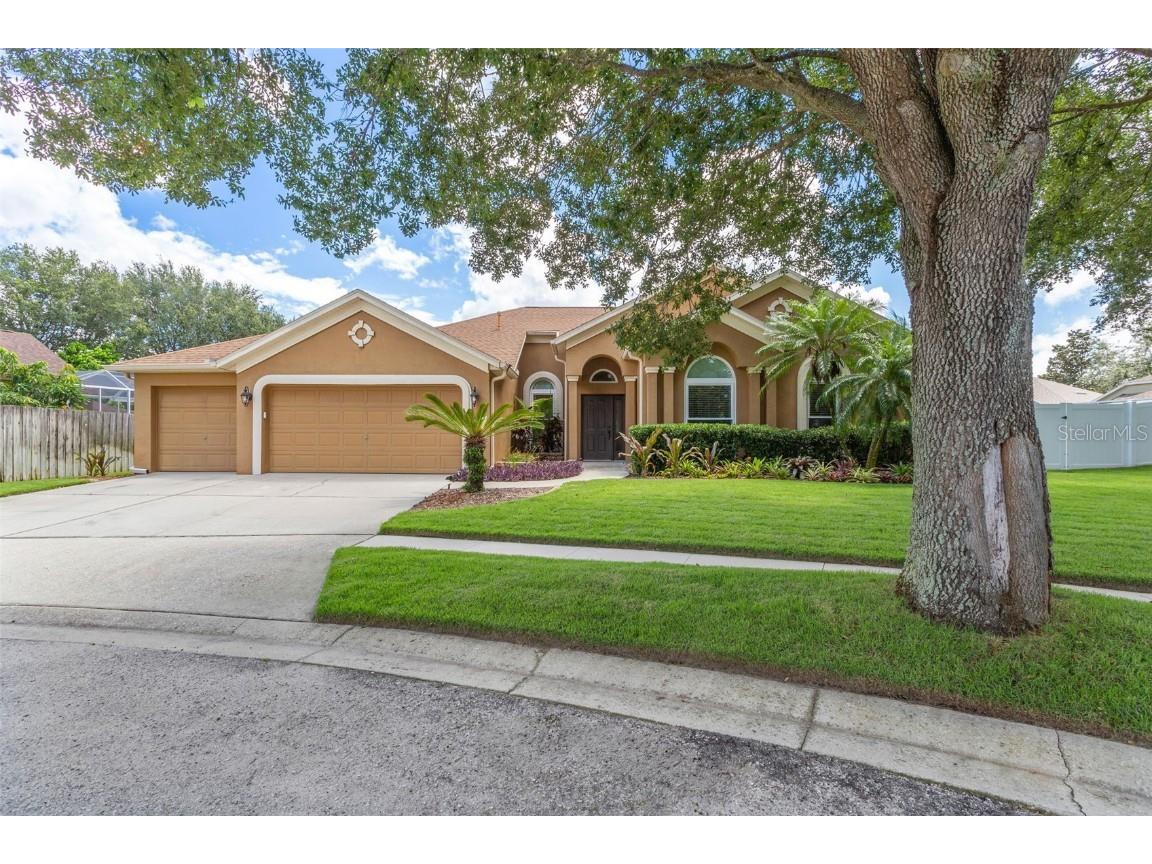 1107 Camphor Glen Court Valrico FL 33594 T3461042 image1