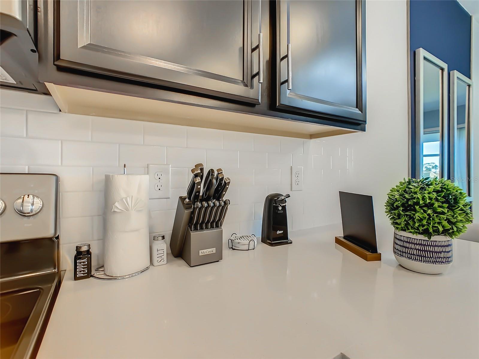 1107 Challenge Dr #1502 Champions Gate FL 33896 S5143097 image23