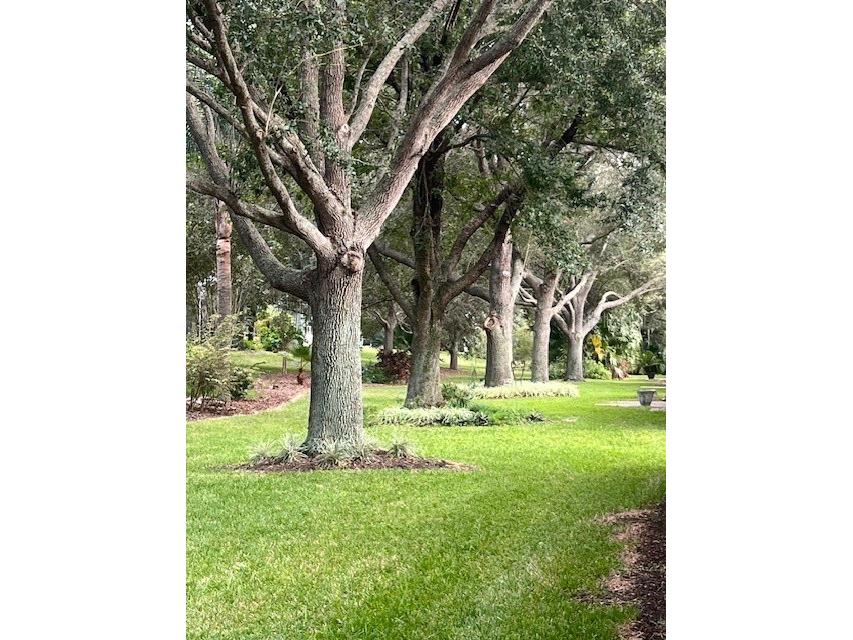 1107 Everest Street Clermont FL 34711 G5102738 image32