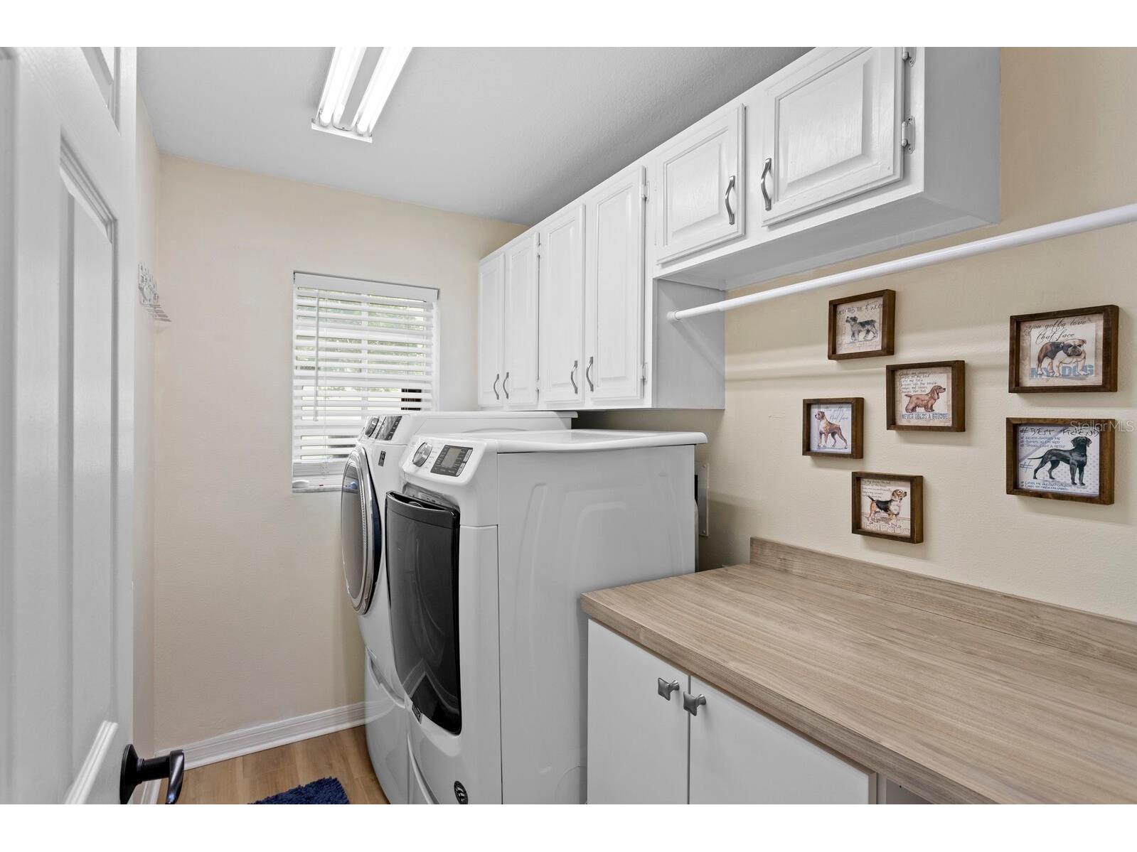 1107 Glenn Lane Safety Harbor FL 34695 TB8510218 image34