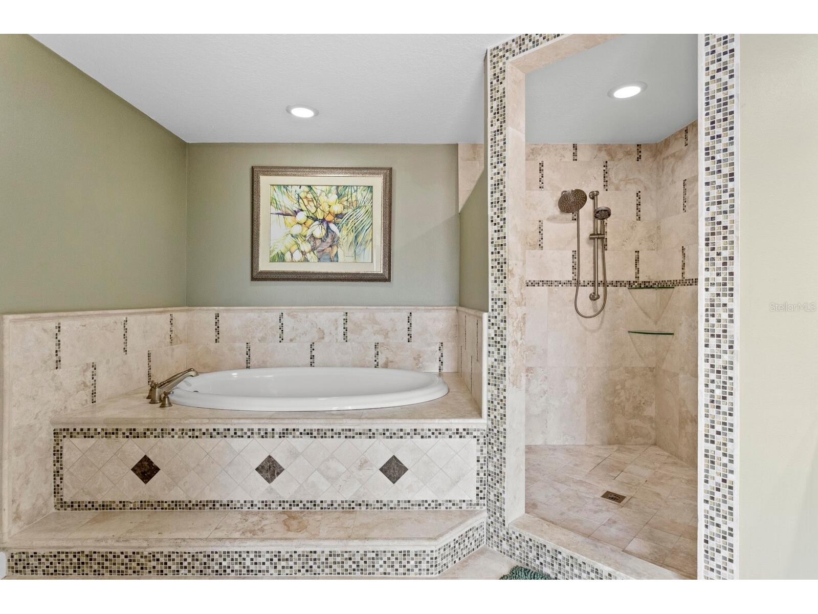 1107 Glenn Lane Safety Harbor FL 34695 TB8510218 image44