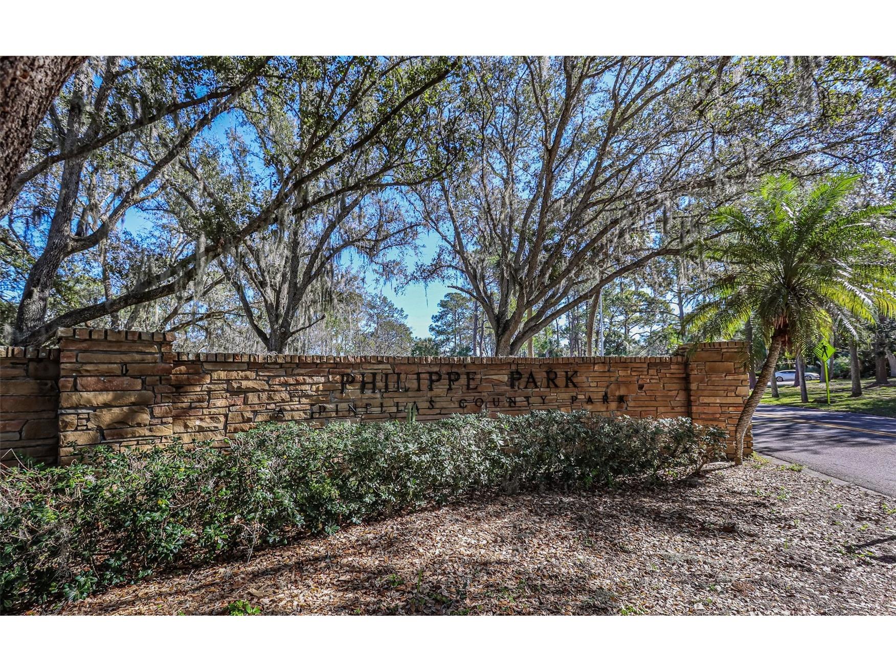 1107 Glenn Lane Safety Harbor FL 34695 TB8510218 image56