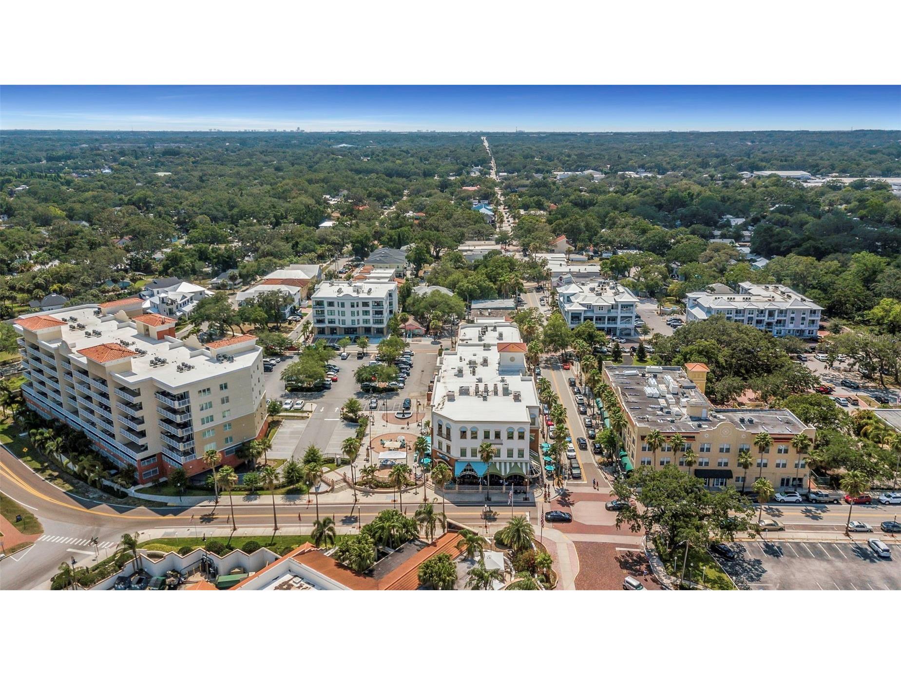 1107 Glenn Lane Safety Harbor FL 34695 TB8510218 image59