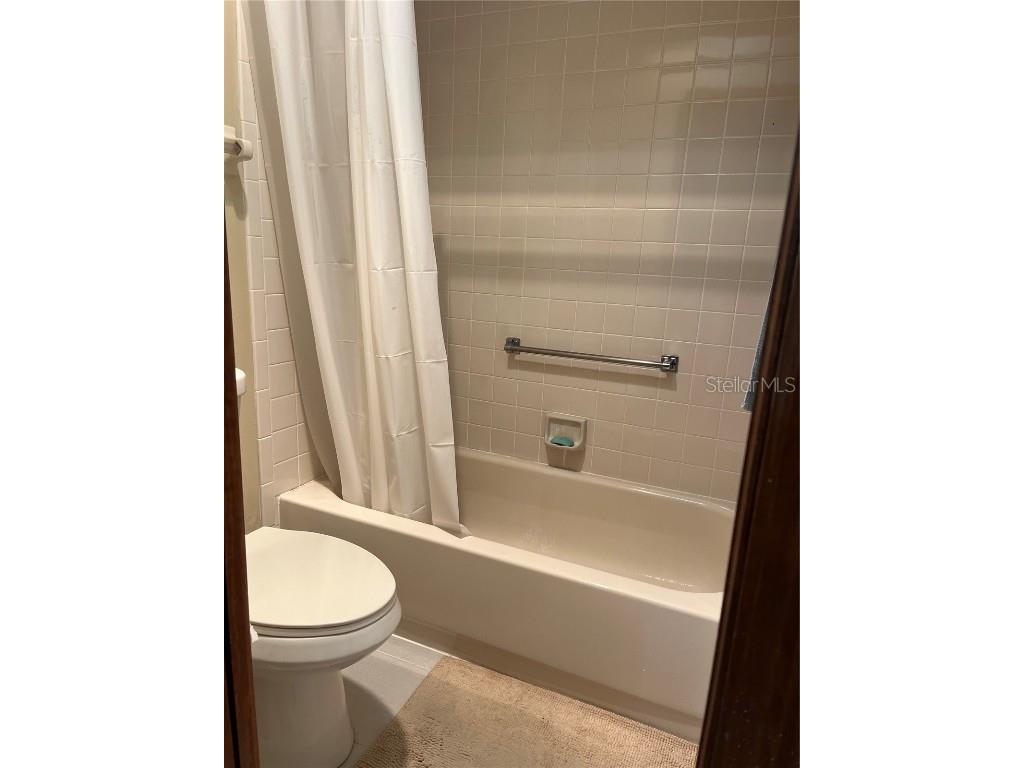 1107 Golf Club Court Mount Dora FL 32757 G5104015 image15