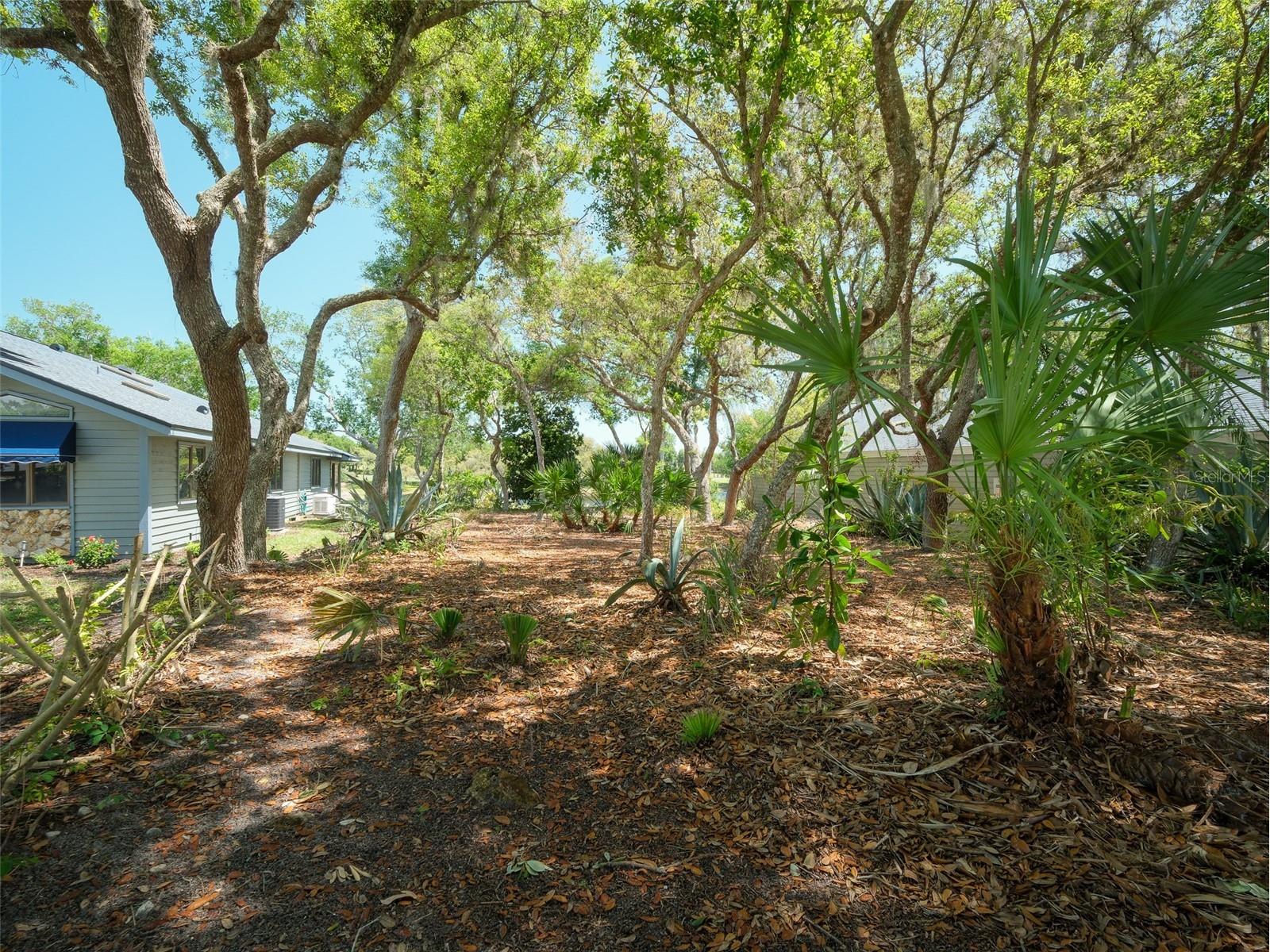 1107 Loch Lomond Court New Smyrna Beach FL 32168 NS1087907 image3