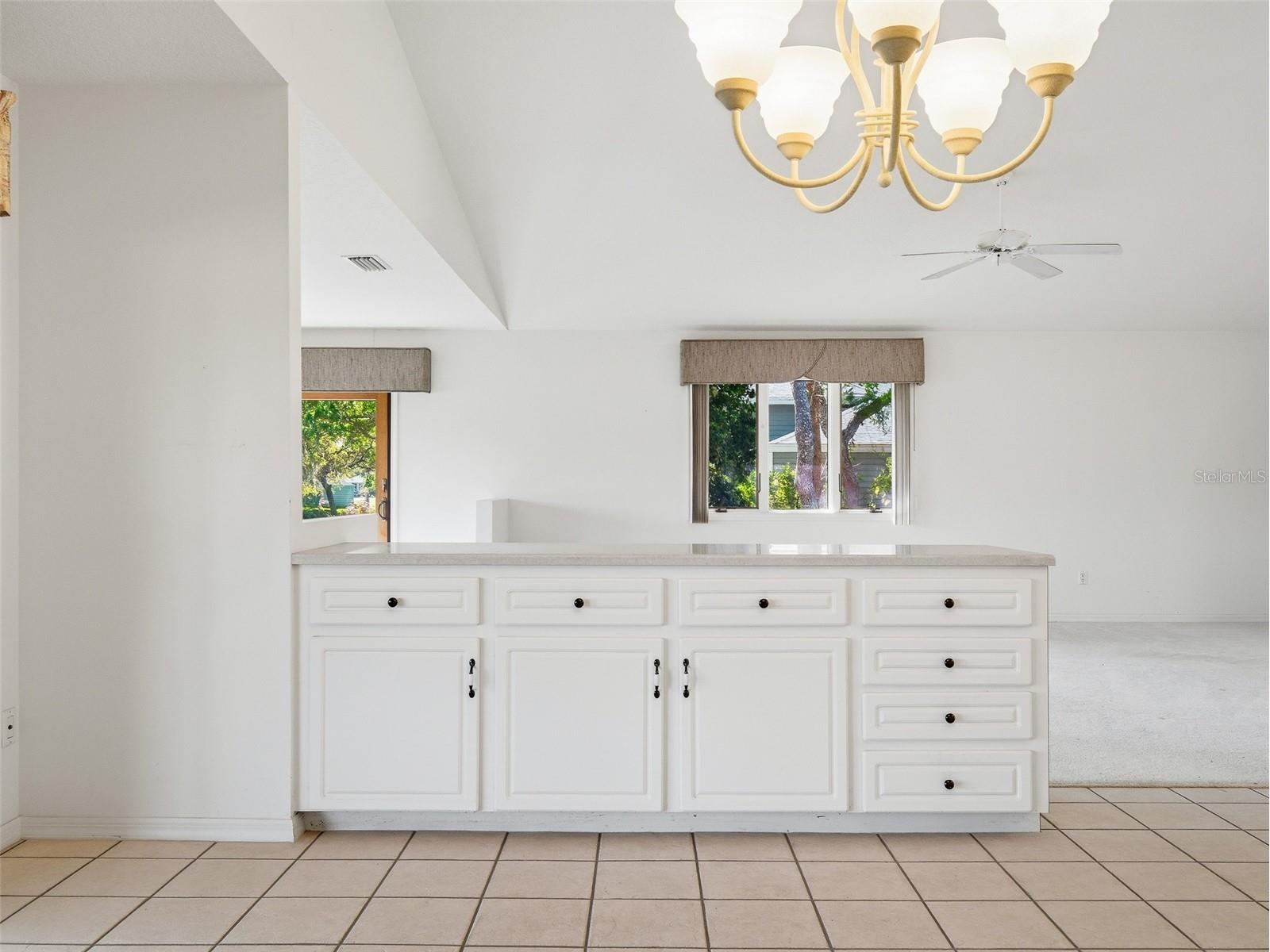 1107 Loch Lomond Court New Smyrna Beach FL 32168 NS1087907 image30