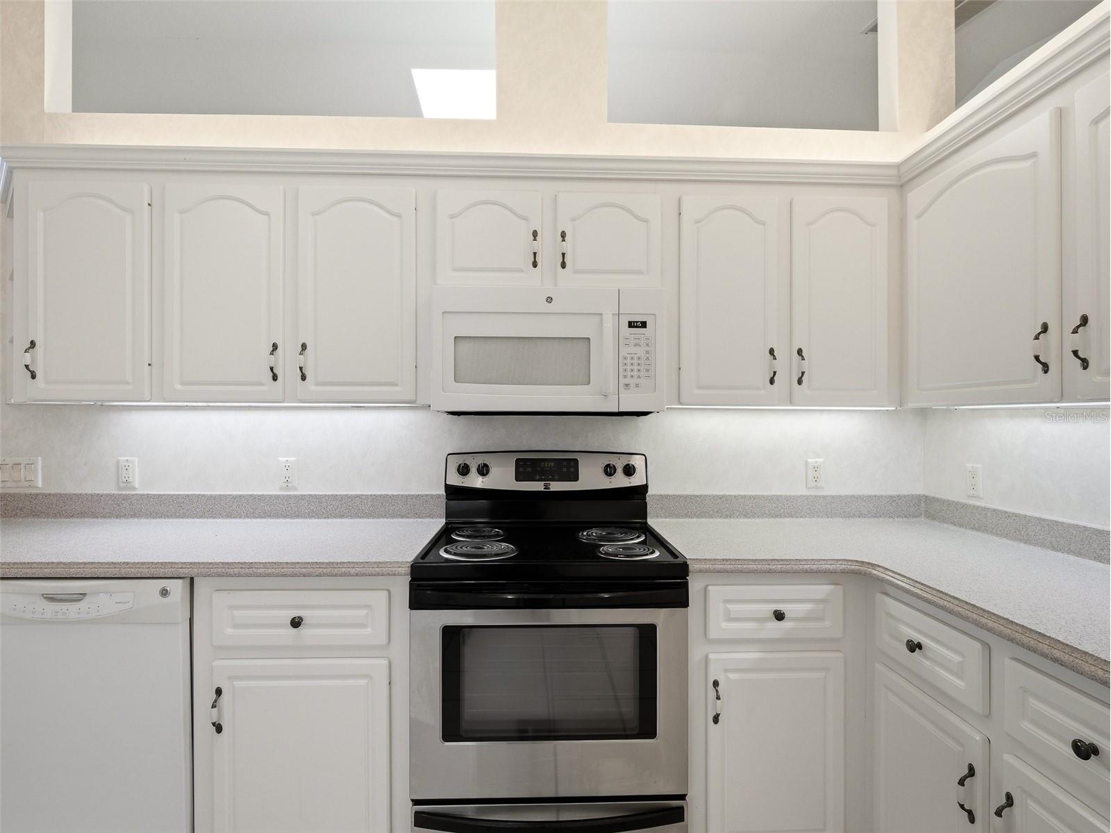 1107 Loch Lomond Court New Smyrna Beach FL 32168 NS1087907 image33