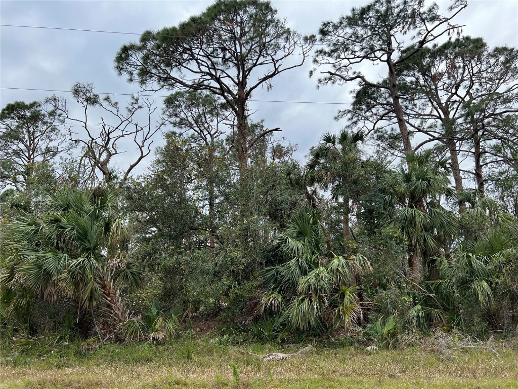 1107 Madeira Street Port Charlotte FL 33953 U8188570 image1