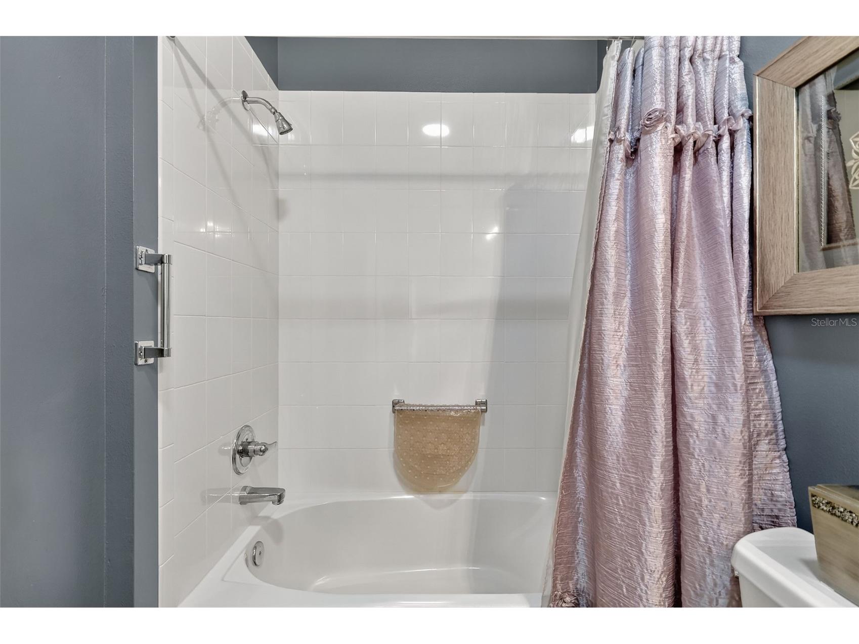 1107 Pelion Place The Villages FL 32162 OM720640 image26