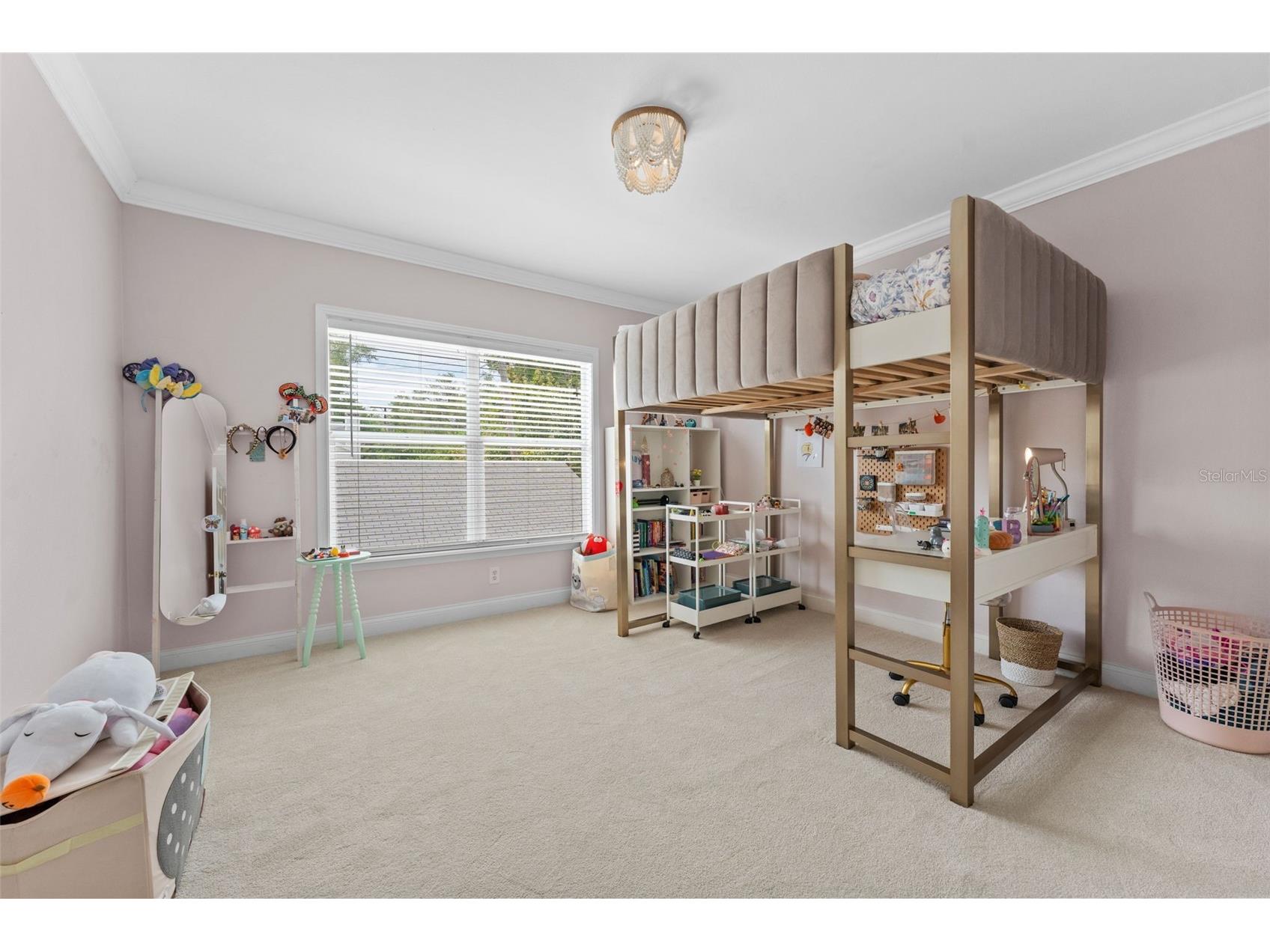 1107 S Dunbar Avenue Tampa FL 33629 TB8495719 image32